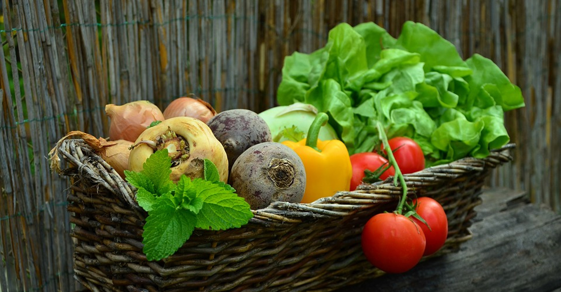 Beste Ernte aus dem eigenen Garten
