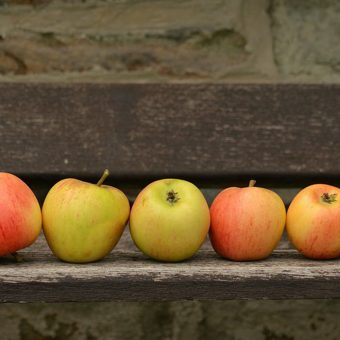 Meine Streuobstwiese