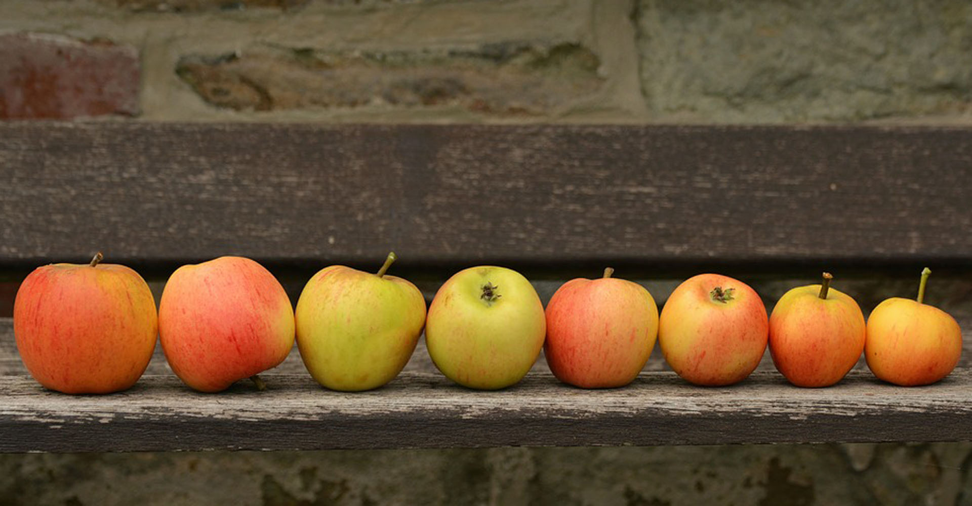 Meine Streuobstwiese